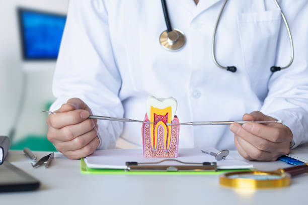 Best Knocked-Out Tooth (Avulsed Tooth) Treatment in Newcastle, WA